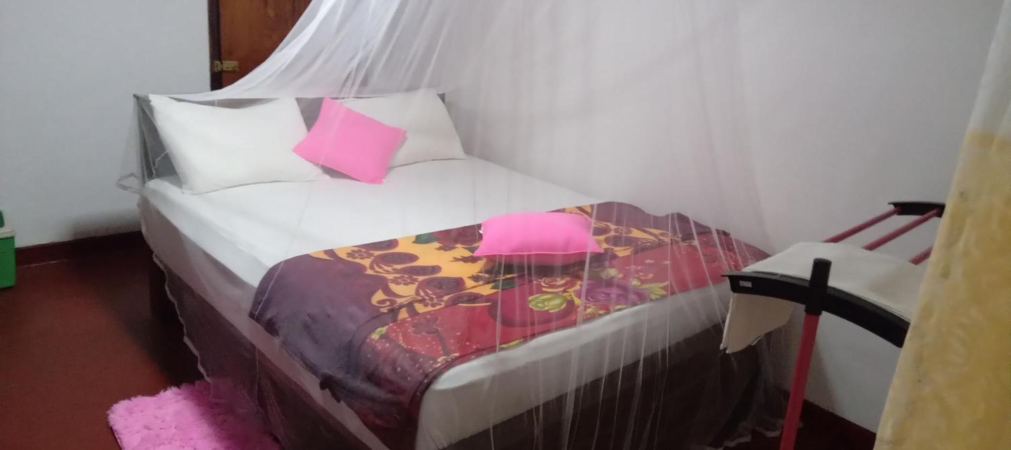 Rainforest Holiday Inn Deniyaya Rom bilde