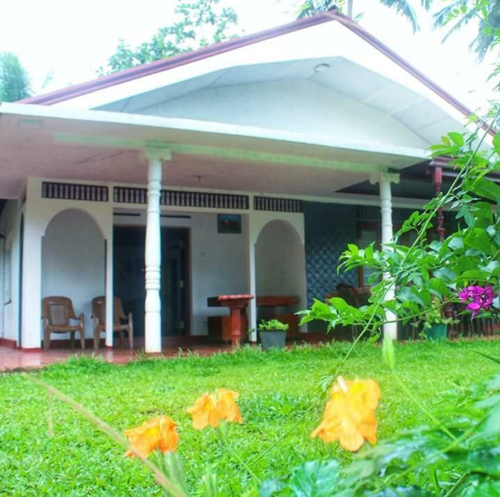 Rainforest Holiday Inn Deniyaya Eksteriør bilde