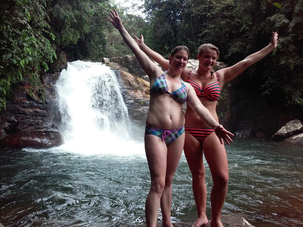 Rainforest Holiday Inn Deniyaya Eksteriør bilde