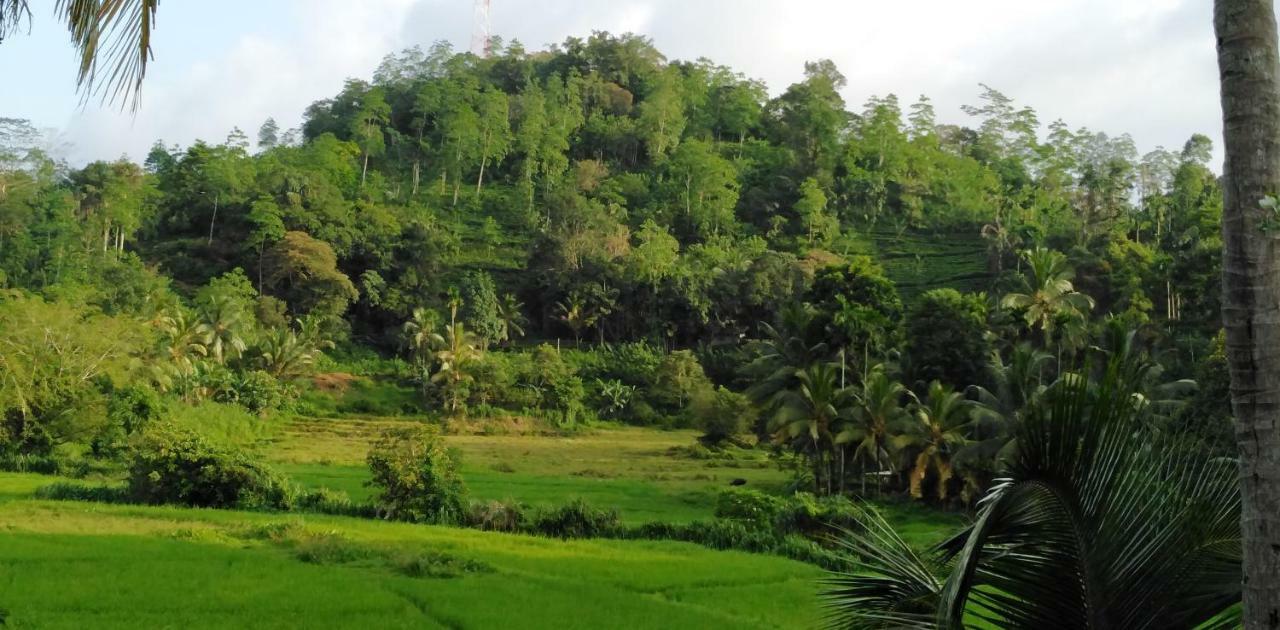 Rainforest Holiday Inn Deniyaya Eksteriør bilde