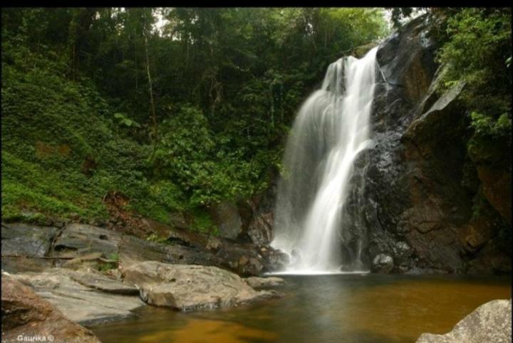 Rainforest Holiday Inn Deniyaya Eksteriør bilde